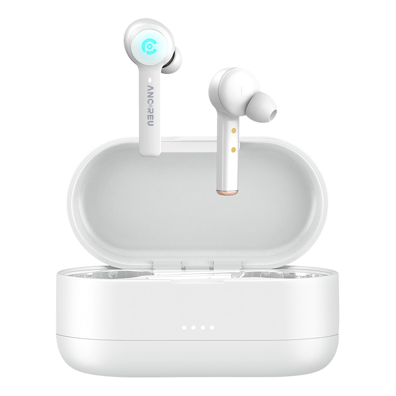 W16B Lokesh Gamer Earphones