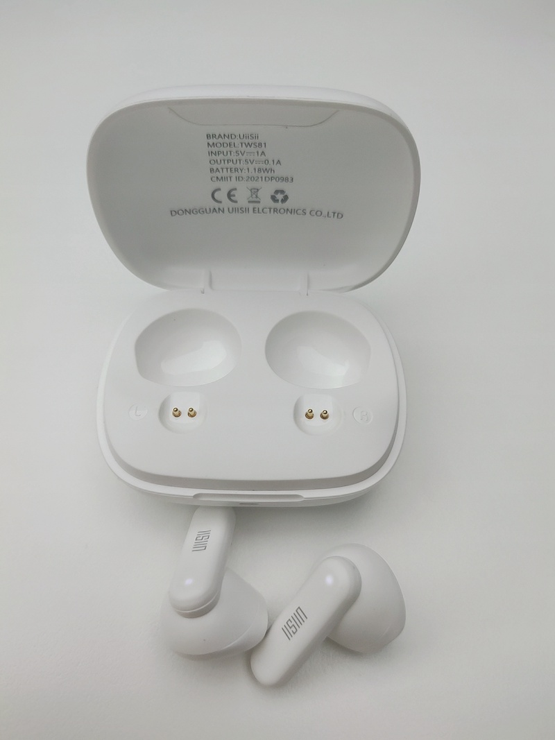 Custom BT5.0 TWS Best True Wireless Earbuds