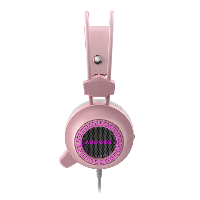 Custom Budget Gaming Headphones Noise Cancelling