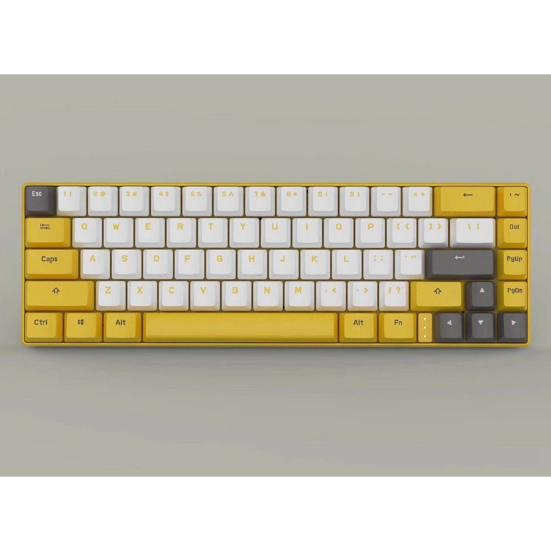 Custom 67 Keys Wireless Wired 2 in1 Best Gaming Keyboard 2020