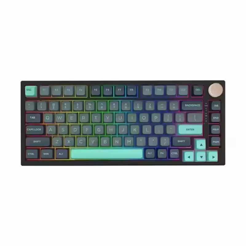 OEM RGB 82 Keys 75% Layout Gasket-Mounted PBT Hot Swap Mechanical Gaming Keyboard